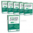 Купить КОМПЛЕКТ  ХОЛИН СТРОНГ N30 КАПС  при покупке 6уп скидка -30% цена