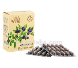Купить ЧЕРНИКА РАСТИТЕЛЬНЫЙ ЭКСТРАКТ N60 КАПС цена