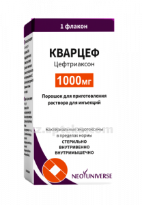 Купить КВАРЦЕФ 1,0 ПОР Д/ПРИГ Р-РА ДЛЯ ИНЪЕК N1 ФЛ цена