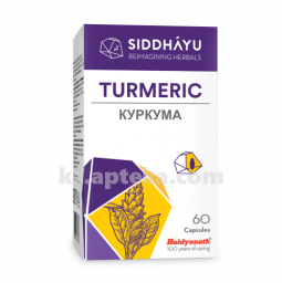 Купить КУРКУМА N60 КАПС цена